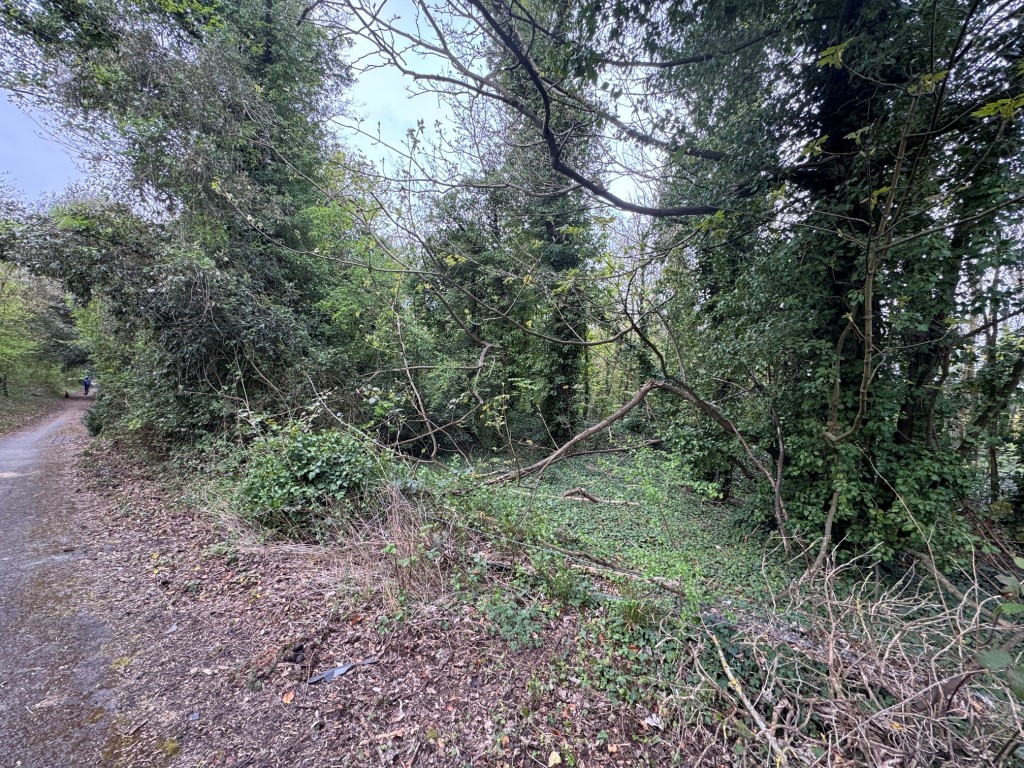 Lot: 7 - APPROXIMATELY 2.5 ACRES OF WOODLAND - woodland 1